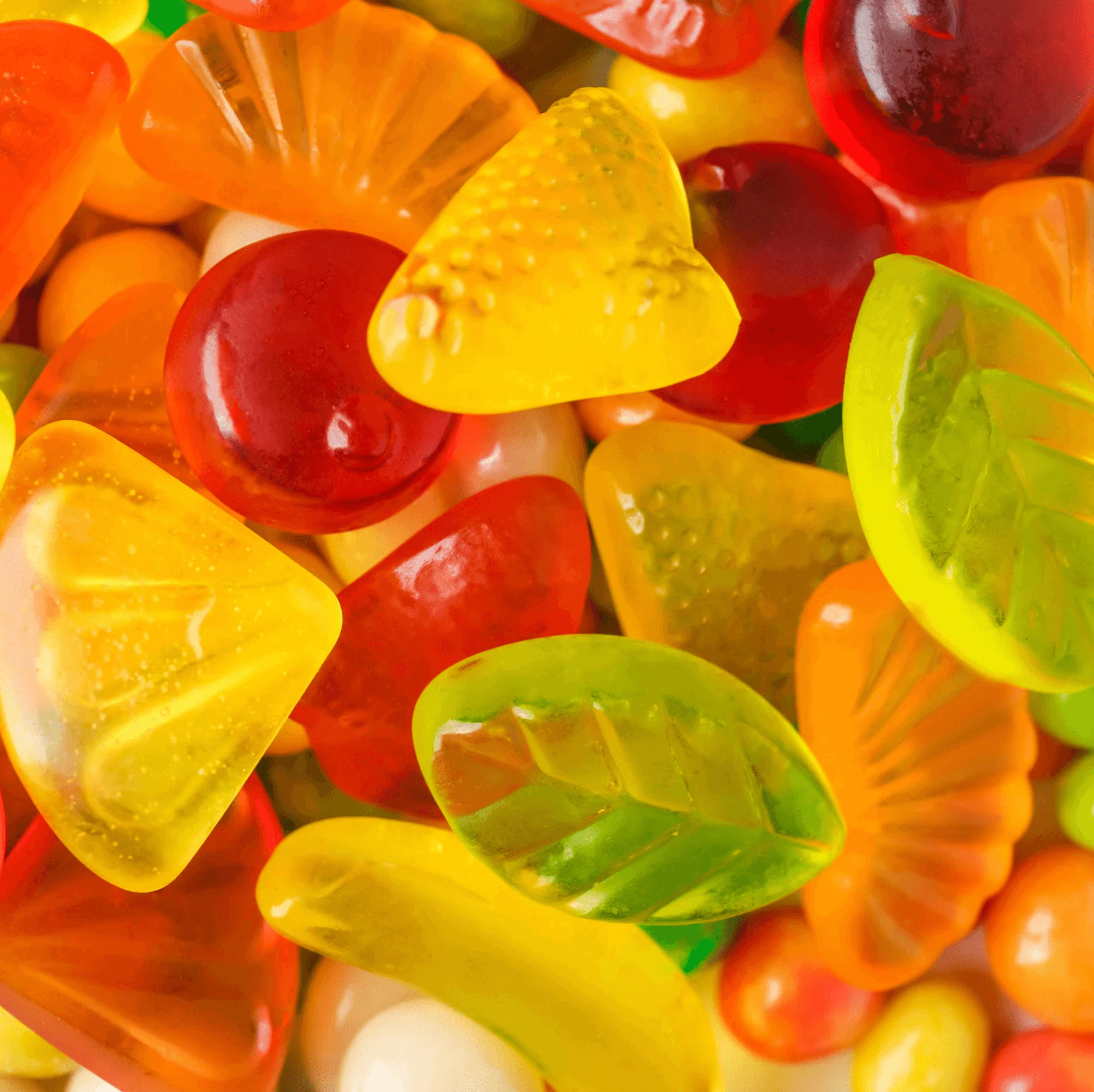 A Tasty Path to Wellness