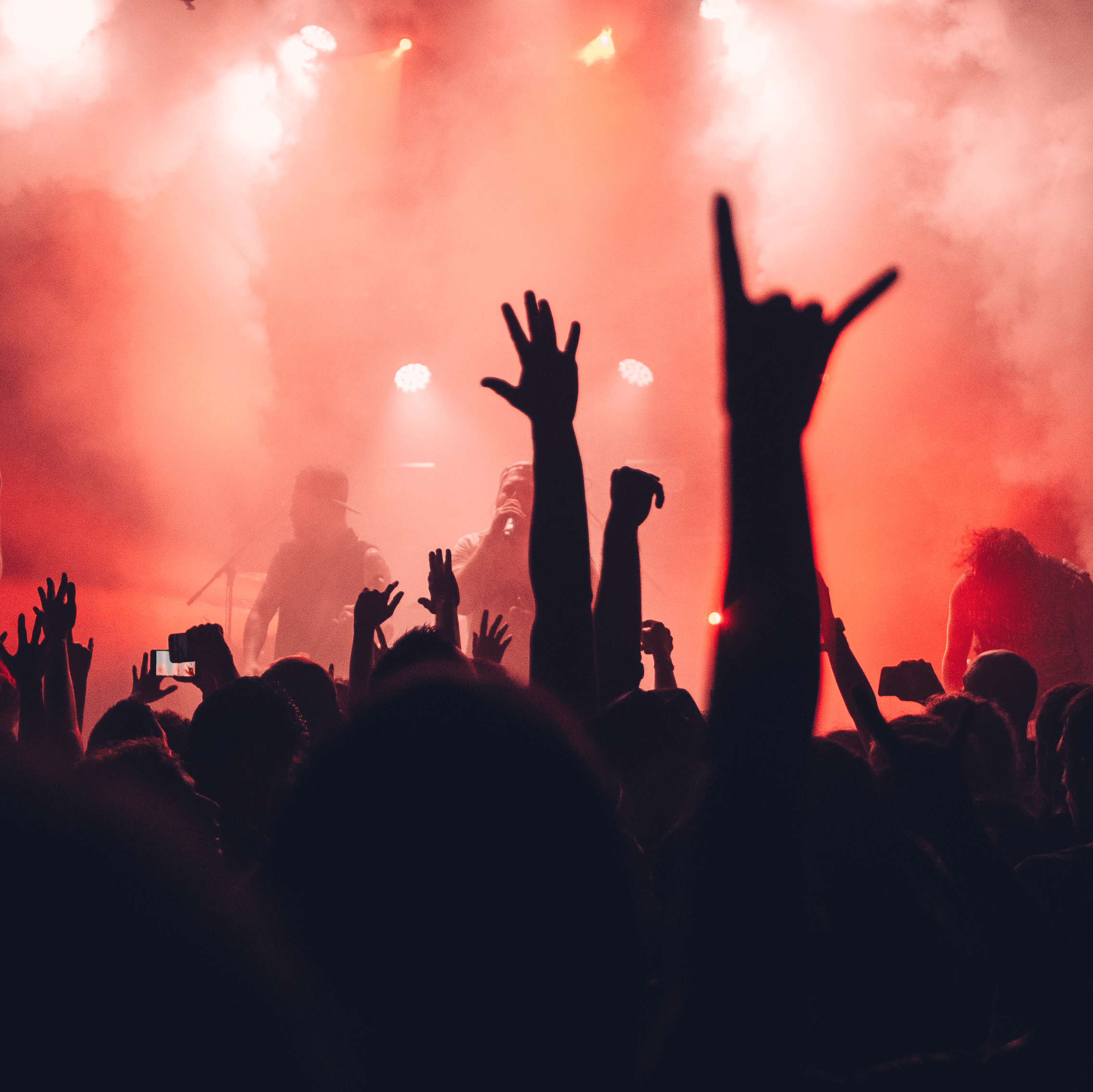 Funkin Good: Leading the Functional Food Revolution