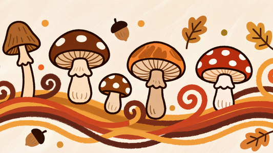 Why Mushroom Coffee?